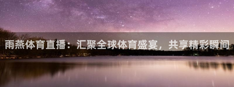 搜球吧直播nba直播：雨燕体育直播：汇聚全球体育盛宴，共享精彩瞬间