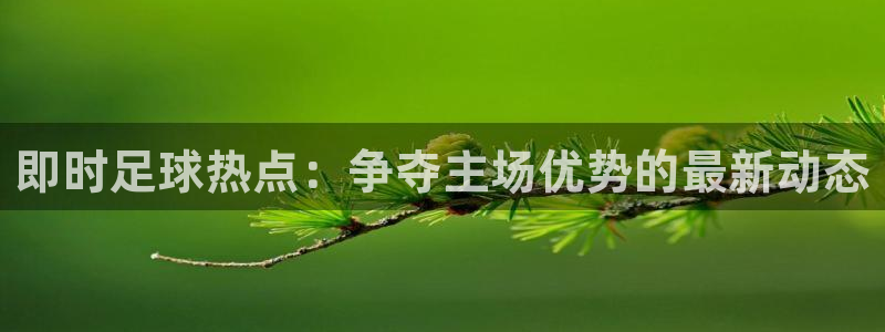 搜球吧nba视频直播：即时足球热点：争夺主场优势的最新动态