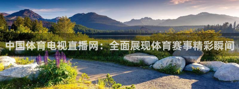 搜球体育直播app：中国体育电视直播网：全面展现体育赛事精彩瞬间