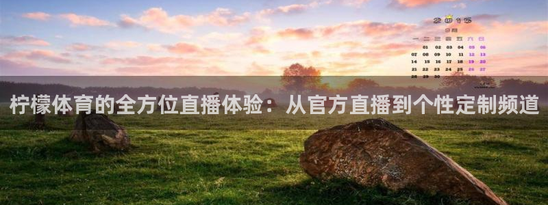 搜球8直播：柠檬体育的全方位直播体验：从官方直播到个性定制频道