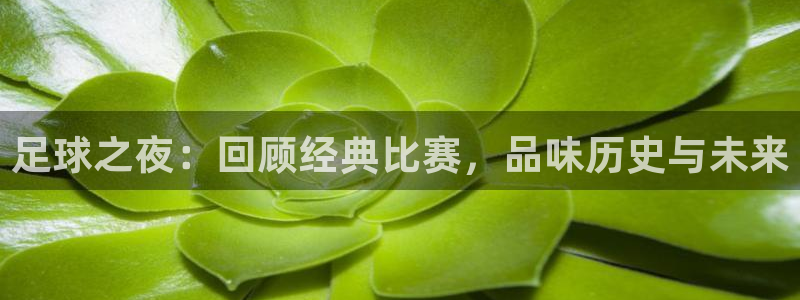 搜球吧直播nba：足球之夜：回顾经典比赛，品味历史与未来