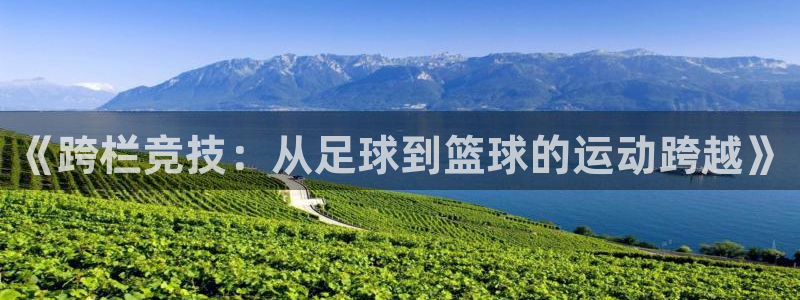 nba直播搜球吧：《跨栏竞技：从足球到篮球的运动跨越》