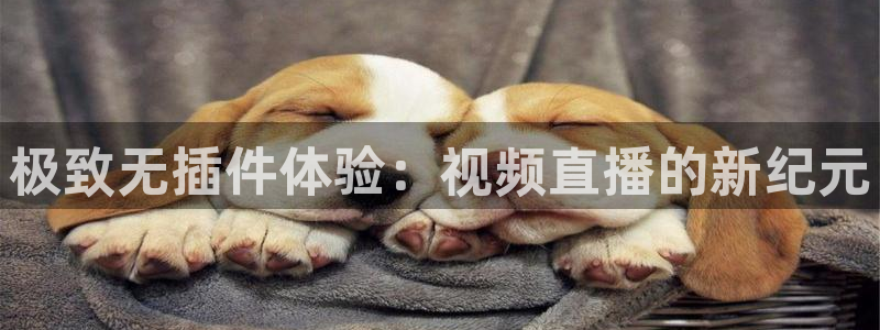 搜球8直播：极致无插件体验：视频直播的新纪元