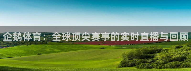 搜球体育：企鹅体育：全球顶尖赛事的实时直播与回顾