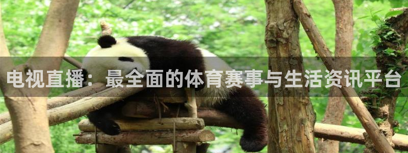 搜球吧体育直播：电视直播：最全面的体育赛事与生活资讯平台